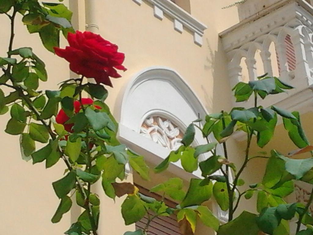 Relais Le Felci Executive Suite Spa Fiuggi Buitenkant foto